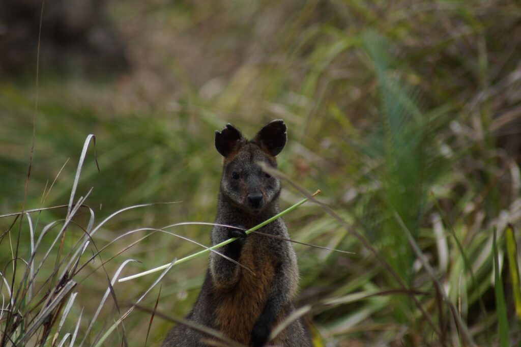看護roo!に登録するメリットは何ですか？