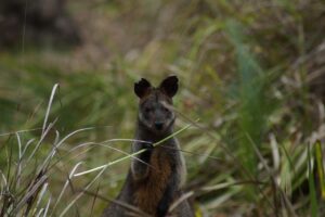 看護roo!に登録するメリットは何ですか？
