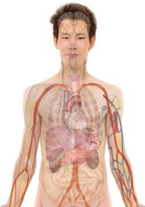 看護師が転職する際に知っておきたい産業看護師のメリットとは？