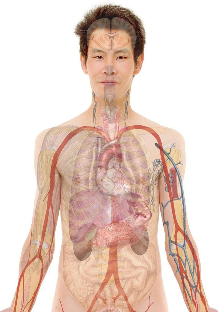 看護師が転職する際に知っておきたい産業看護師のメリットとは？